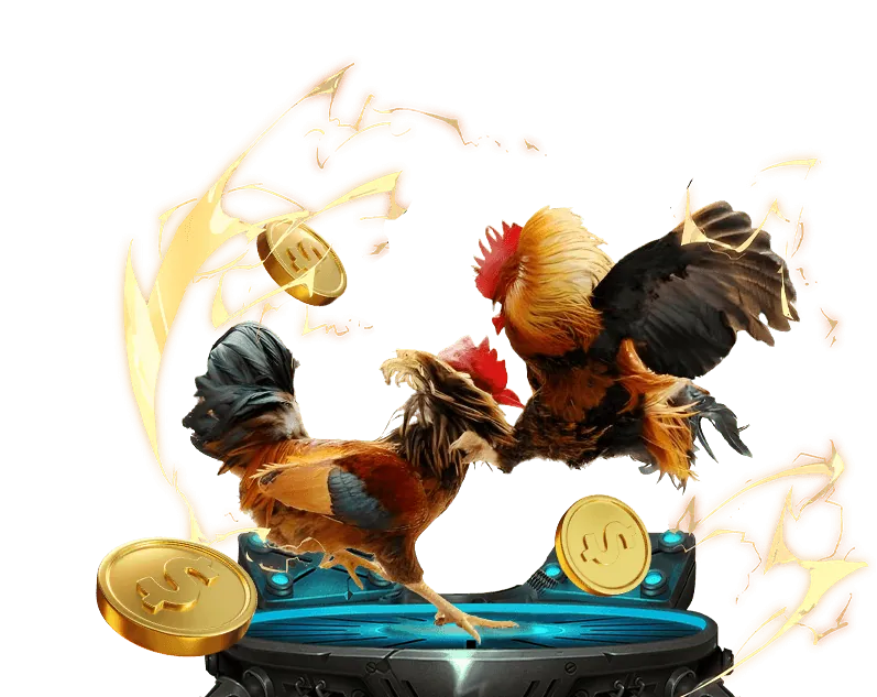 Đá Gà Trực Tiếp Hấp Dẫn